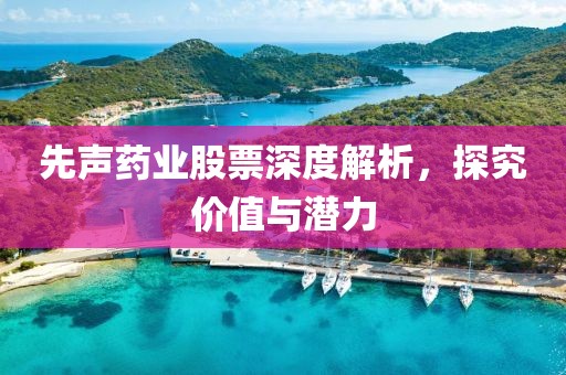公司概况 第460页