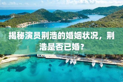 揭秘演员荆浩的婚姻状况，荆浩是否已婚？