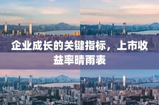 企业成长的关键指标，上市收益率晴雨表