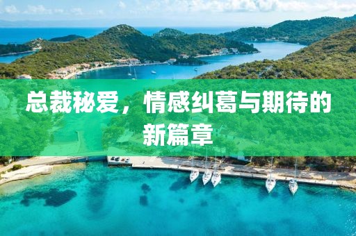 总裁秘爱，情感纠葛与期待的新篇章