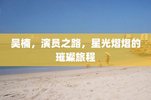 吴楠，演员之路，星光熠熠的璀璨旅程