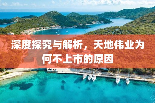 深度探究与解析，天地伟业为何不上市的原因