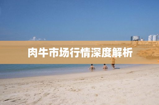 肉牛市场行情深度解析