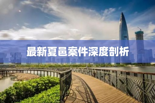 最新夏邑案件深度剖析