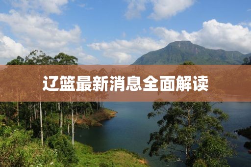 辽篮最新消息全面解读