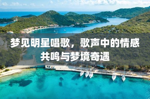 梦见明星唱歌，歌声中的情感共鸣与梦境奇遇