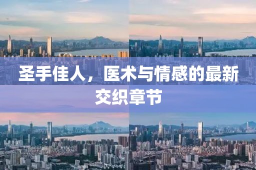 圣手佳人，医术与情感的最新交织章节