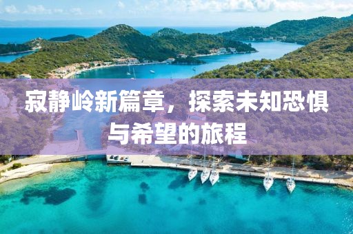 寂静岭新篇章，探索未知恐惧与希望的旅程