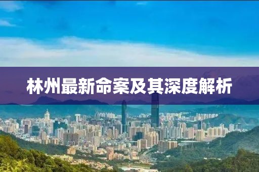 林州最新命案及其深度解析