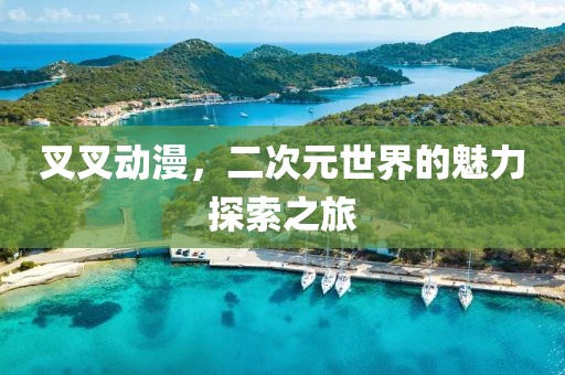 叉叉动漫，二次元世界的魅力探索之旅