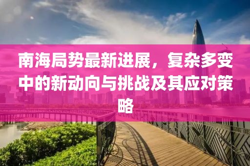 南海局势最新进展，复杂多变中的新动向与挑战及其应对策略