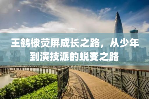 王鹤棣荧屏成长之路，从少年到演技派的蜕变之路