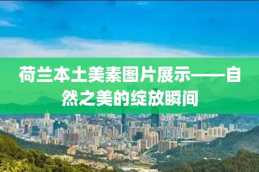 荷兰本土美素图片展示——自然之美的绽放瞬间