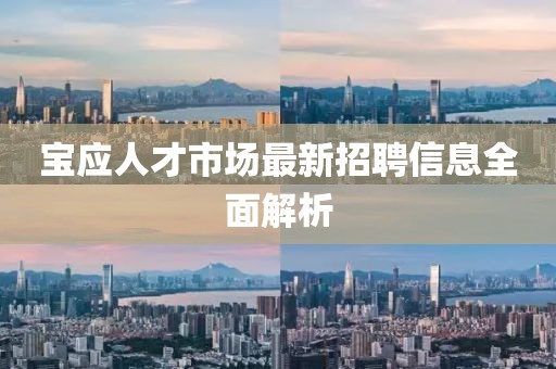 宝应人才市场最新招聘信息全面解析