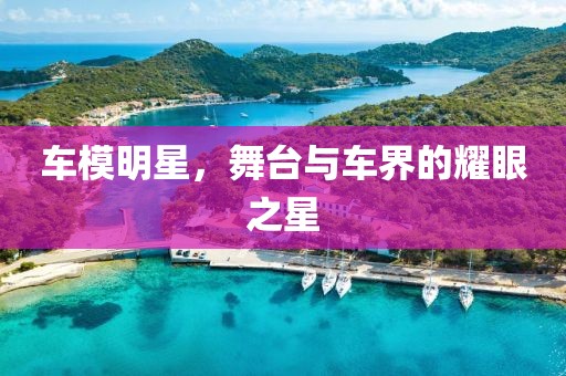 车模明星，舞台与车界的耀眼之星