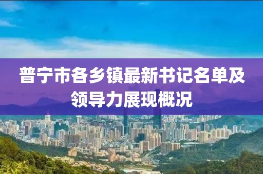 普宁市各乡镇最新书记名单及领导力展现概况