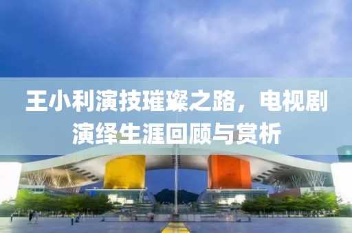 王小利演技璀璨之路，电视剧演绎生涯回顾与赏析