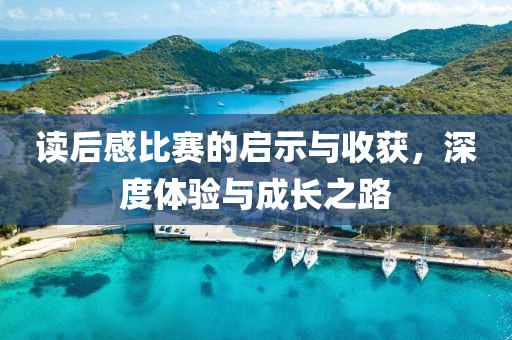 读后感比赛的启示与收获，深度体验与成长之路