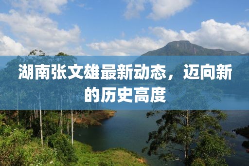 湖南张文雄最新动态，迈向新的历史高度