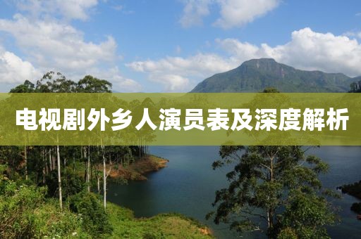 电视剧外乡人演员表及深度解析