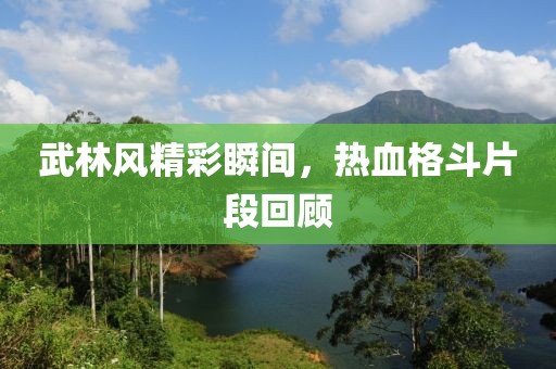 武林风精彩瞬间，热血格斗片段回顾