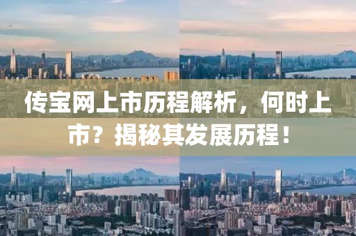 传宝网上市历程解析，何时上市？揭秘其发展历程！