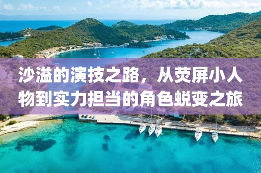 沙溢的演技之路，从荧屏小人物到实力担当的角色蜕变之旅