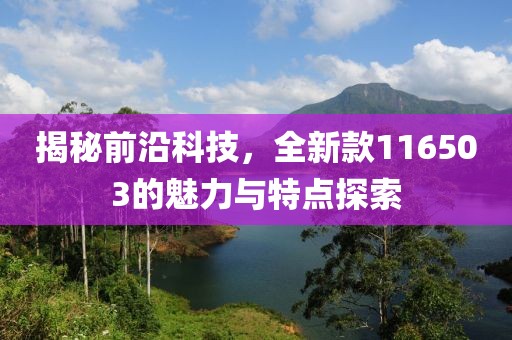 揭秘前沿科技，全新款116503的魅力与特点探索