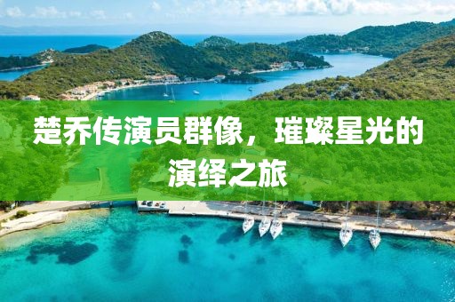 楚乔传演员群像，璀璨星光的演绎之旅