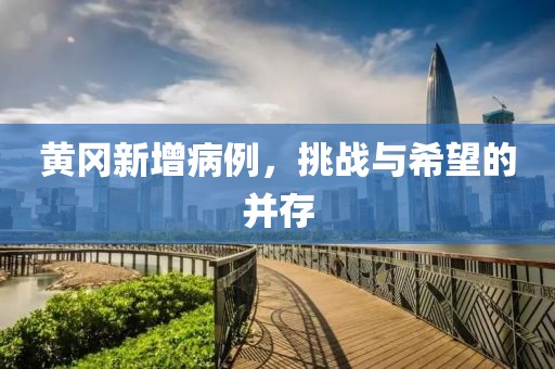 黄冈新增病例，挑战与希望的并存