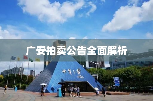 广安拍卖公告全面解析
