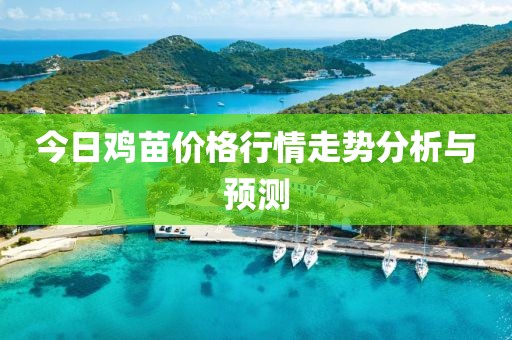 今日鸡苗价格行情走势分析与预测