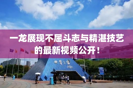 一龙展现不屈斗志与精湛技艺的最新视频公开！