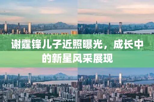 谢霆锋儿子近照曝光，成长中的新星风采展现