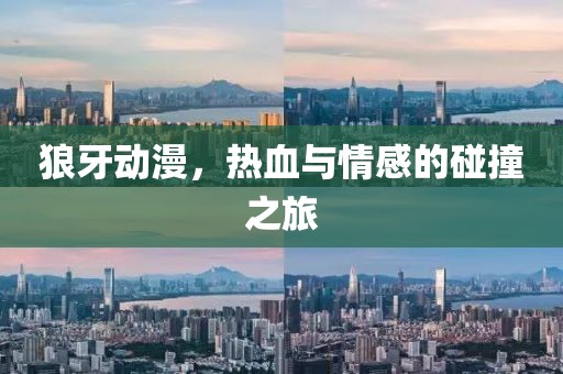 狼牙动漫，热血与情感的碰撞之旅