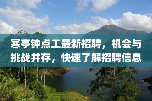寒亭钟点工最新招聘，机会与挑战并存，快速了解招聘信息