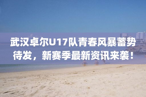 武汉卓尔U17队青春风暴蓄势待发，新赛季最新资讯来袭！