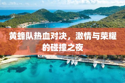 黄蜂队热血对决，激情与荣耀的碰撞之夜