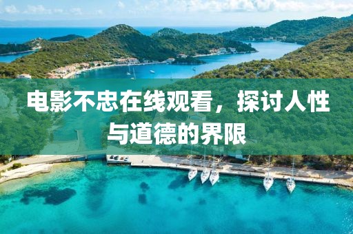 电影不忠在线观看，探讨人性与道德的界限