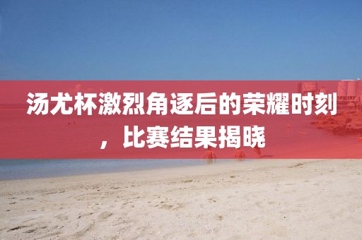 汤尤杯激烈角逐后的荣耀时刻，比赛结果揭晓