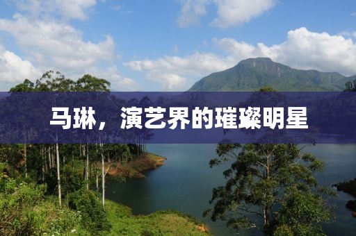 马琳，演艺界的璀璨明星
