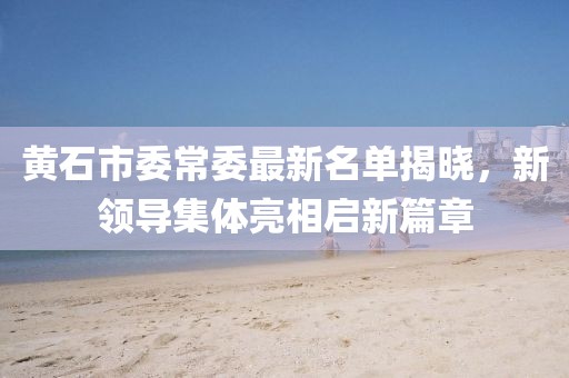 黄石市委常委最新名单揭晓，新领导集体亮相启新篇章