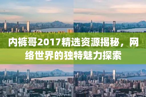 内裤哥2017精选资源揭秘，网络世界的独特魅力探索