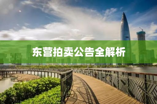 东营拍卖公告全解析