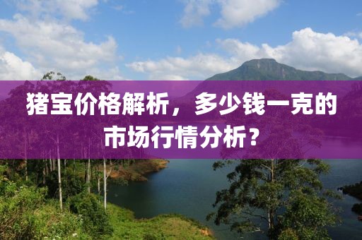 猪宝价格解析，多少钱一克的市场行情分析？