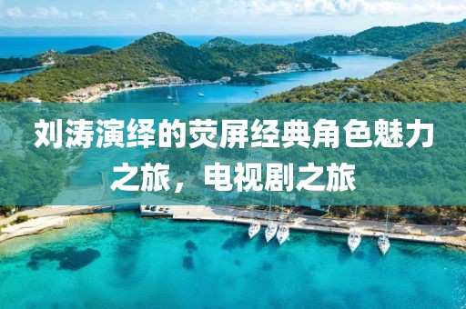 刘涛演绎的荧屏经典角色魅力之旅，电视剧之旅