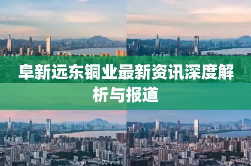 阜新远东铜业最新资讯深度解析与报道