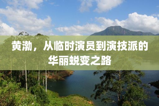 黄渤，从临时演员到演技派的华丽蜕变之路