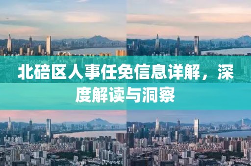 北碚区人事任免信息详解，深度解读与洞察