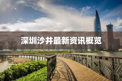 深圳沙井最新资讯概览